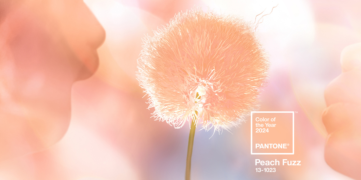Pantone, the global authority on colour, has announced its 2024 Colour of the Year: Peach Fuzz. This velvety gentle peach tone is meant to evoke warmth, compassion, and connection in a world that needs more of it.